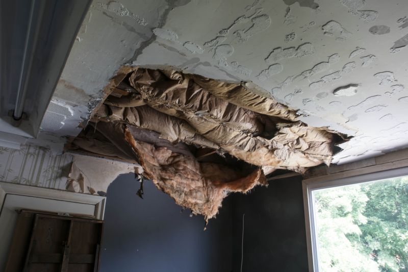 Attic Insulation Repair